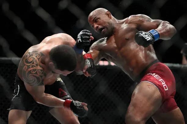 MMA article image