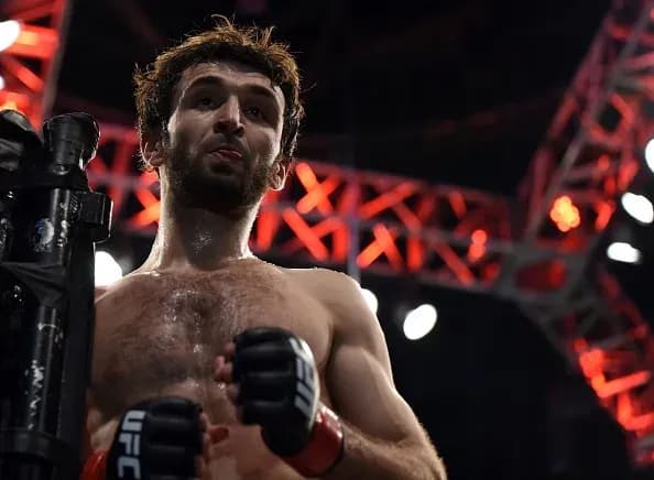 MMA article image