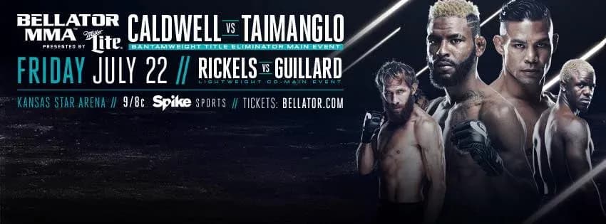 MMA article image