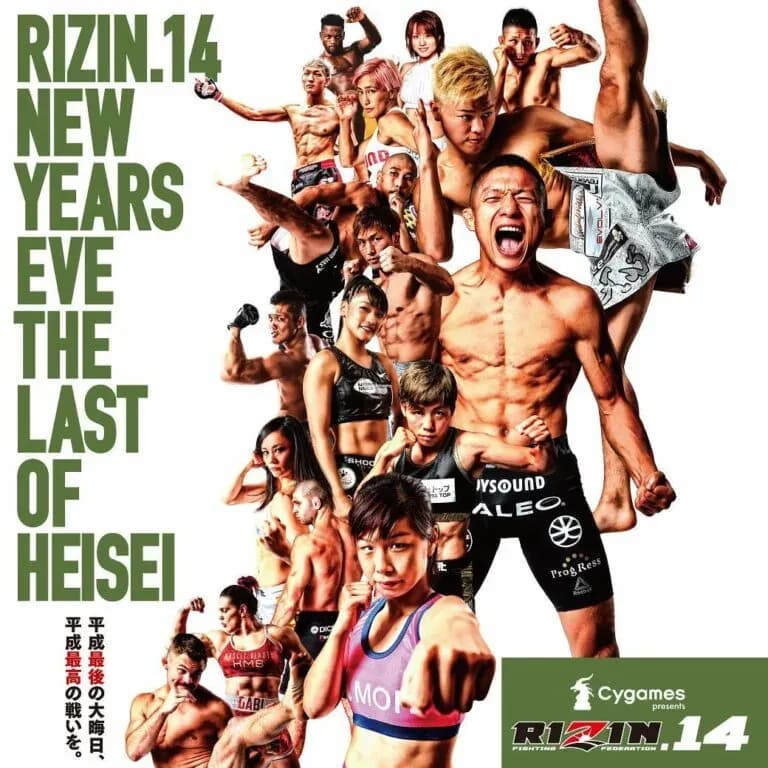 MMA article image