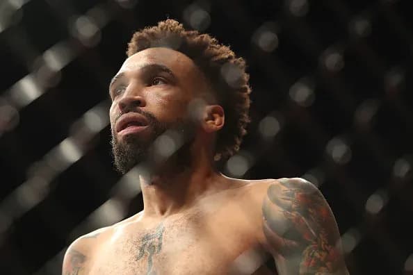 MMA article image