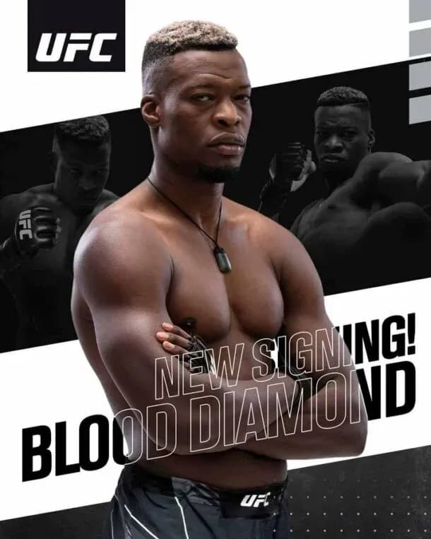 MMA article image