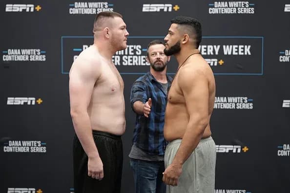 MMA article image