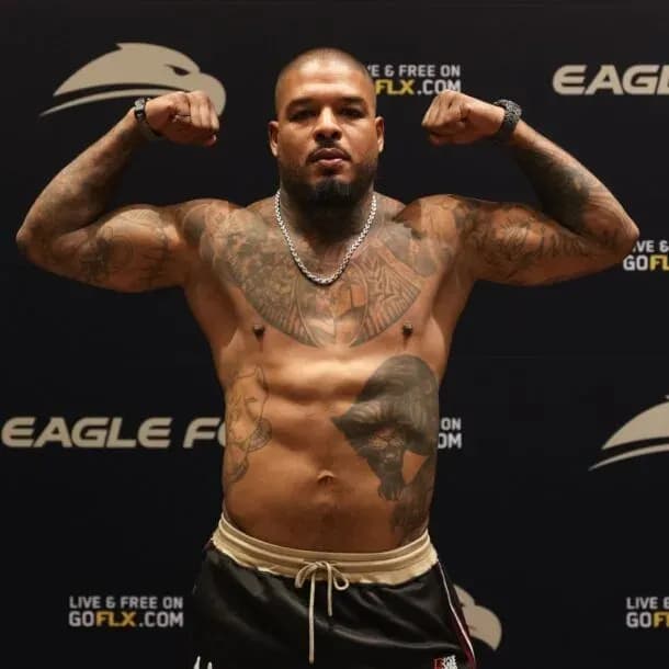 MMA article image