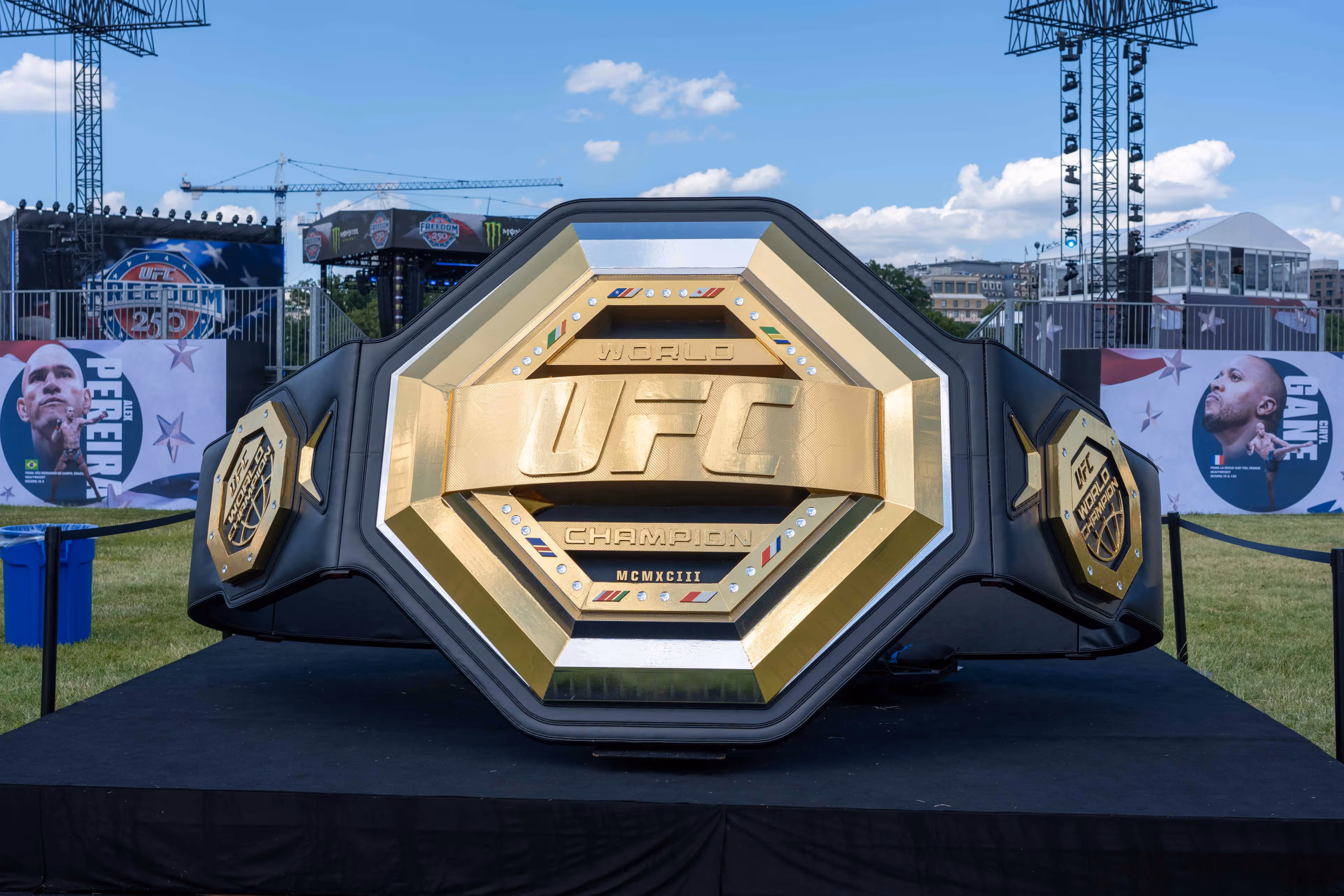 UFC belt