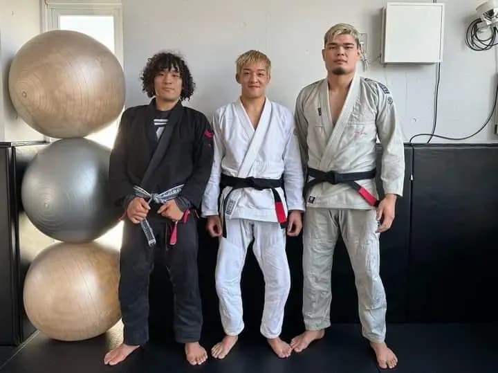 MMA article image