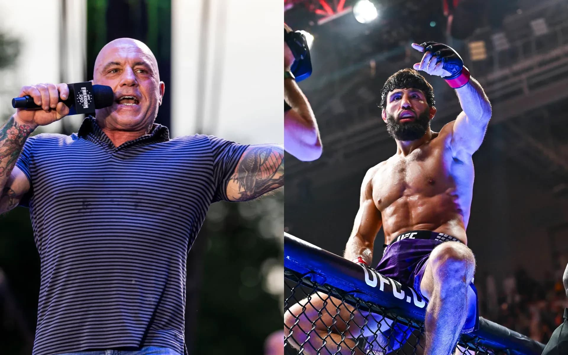 Joe Rogan and Arman Tsarukyan