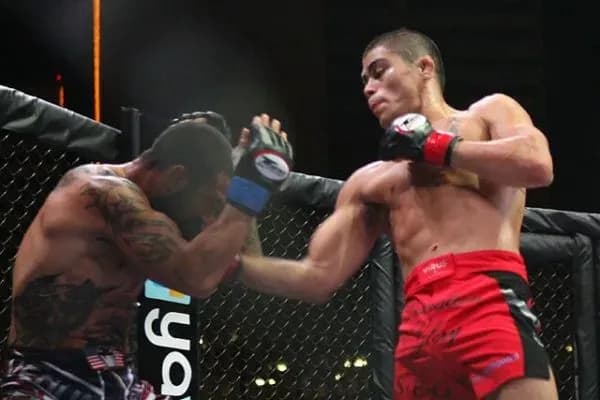 MMA article image