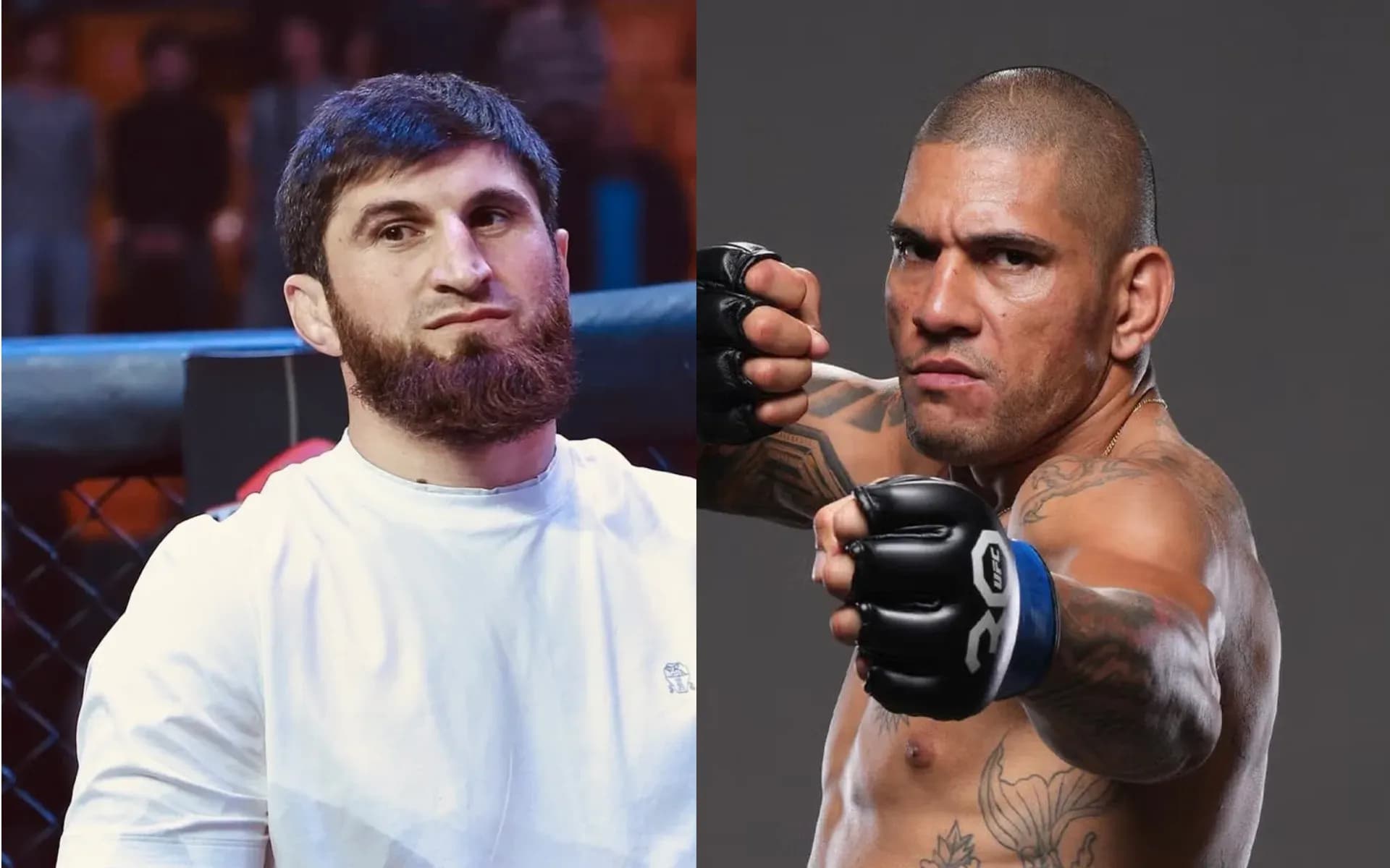 Magomed Ankalaev has already fought Alex Pereira twice