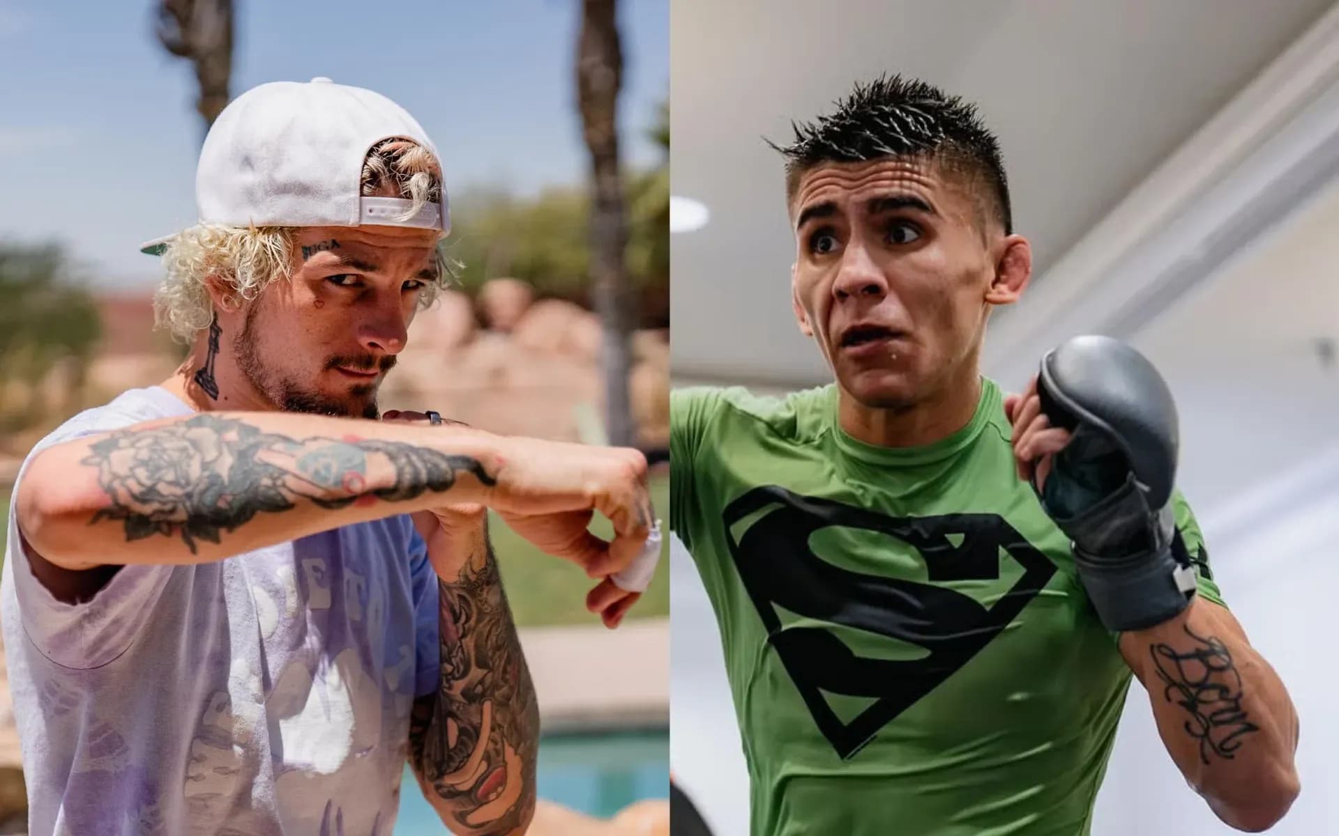 Sean O'Malley could face Mario Bautista in the near future