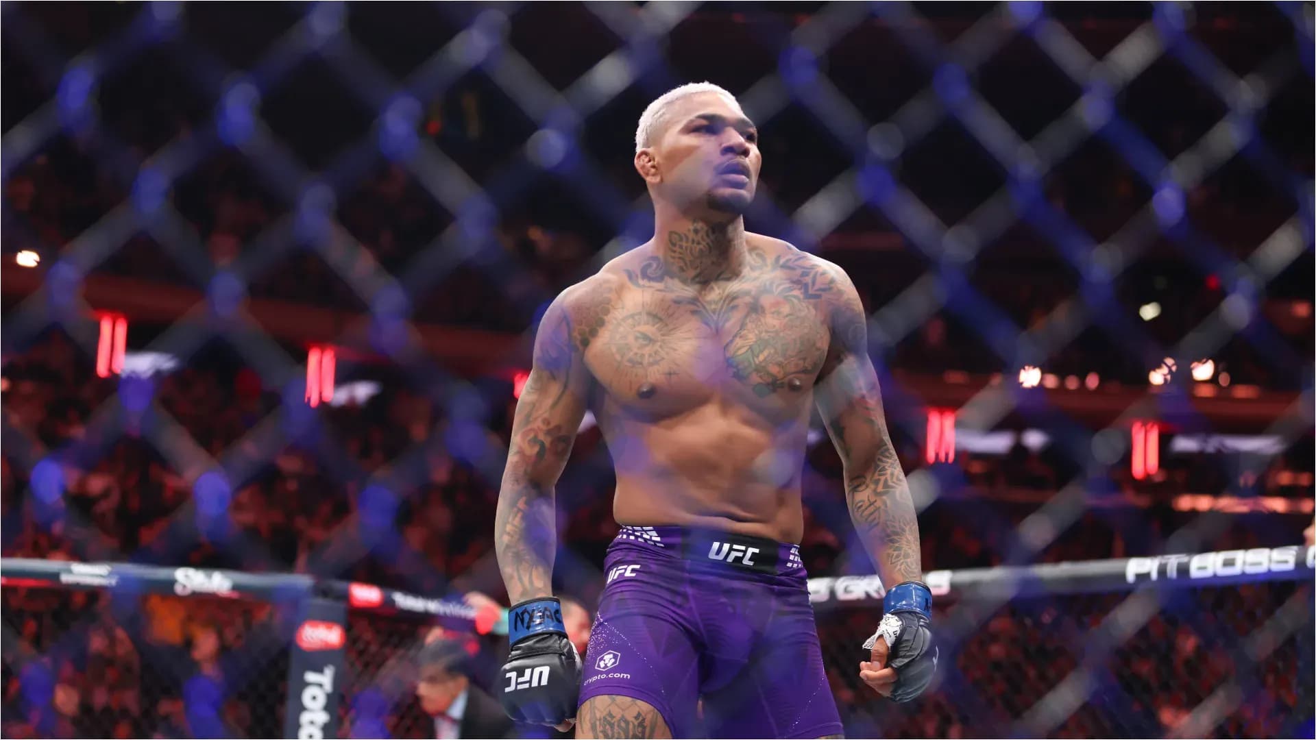 November 15, 2025, New York, Ny, USA: UFC 322: DELLA MADDALENA VS MAKHACHEV, NEW YORK, NY- NOV 16: Michael Morales celebrates his win against Sean Brady in a Welterweight fight during the UFC 322 event at Madison square garden on November 16, 2025 in New York, NY. New York USA - ZUMAr187 20251115_zsp_r187_037 Copyright: xJustinxRenfroex