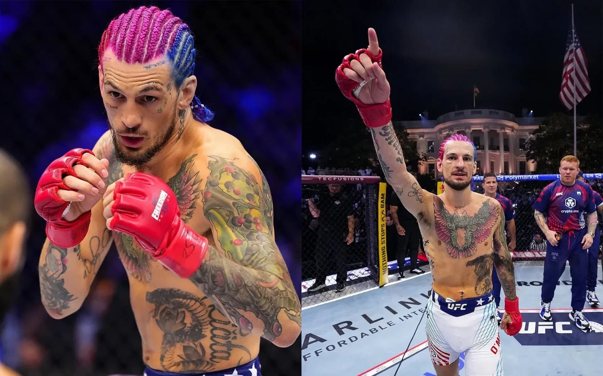Sean O'Malley picked up an amazing win over Aiemann Zahabi at UFC Freedom 250
