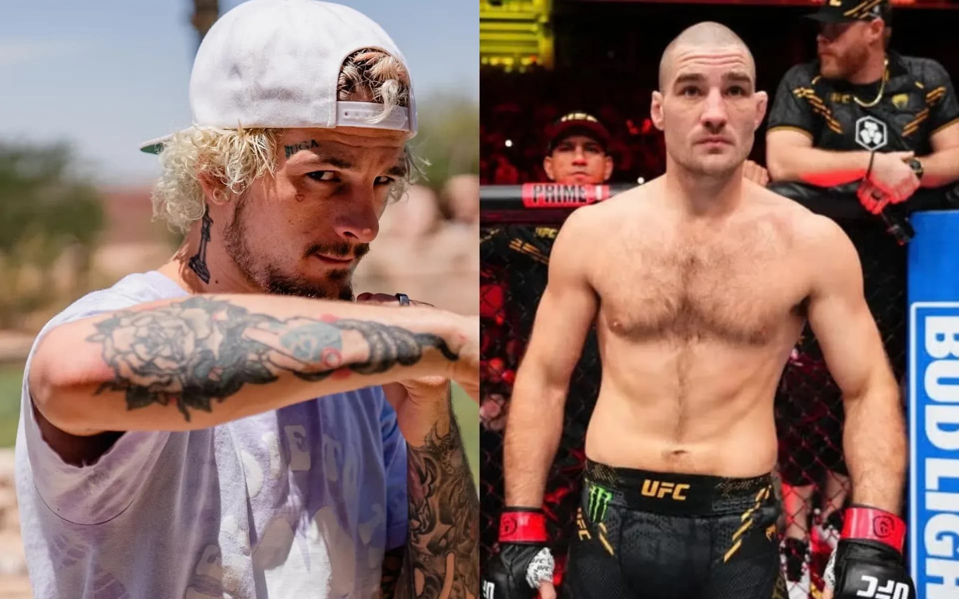 Sean O'Malley and Sean Strickland are counted among the top stars in the UFC today.