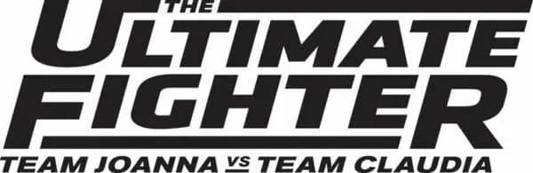 MMA article image