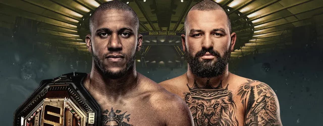 UFC 334