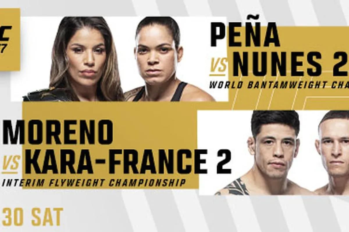 2022 Continues to Be a Great Year for MMA