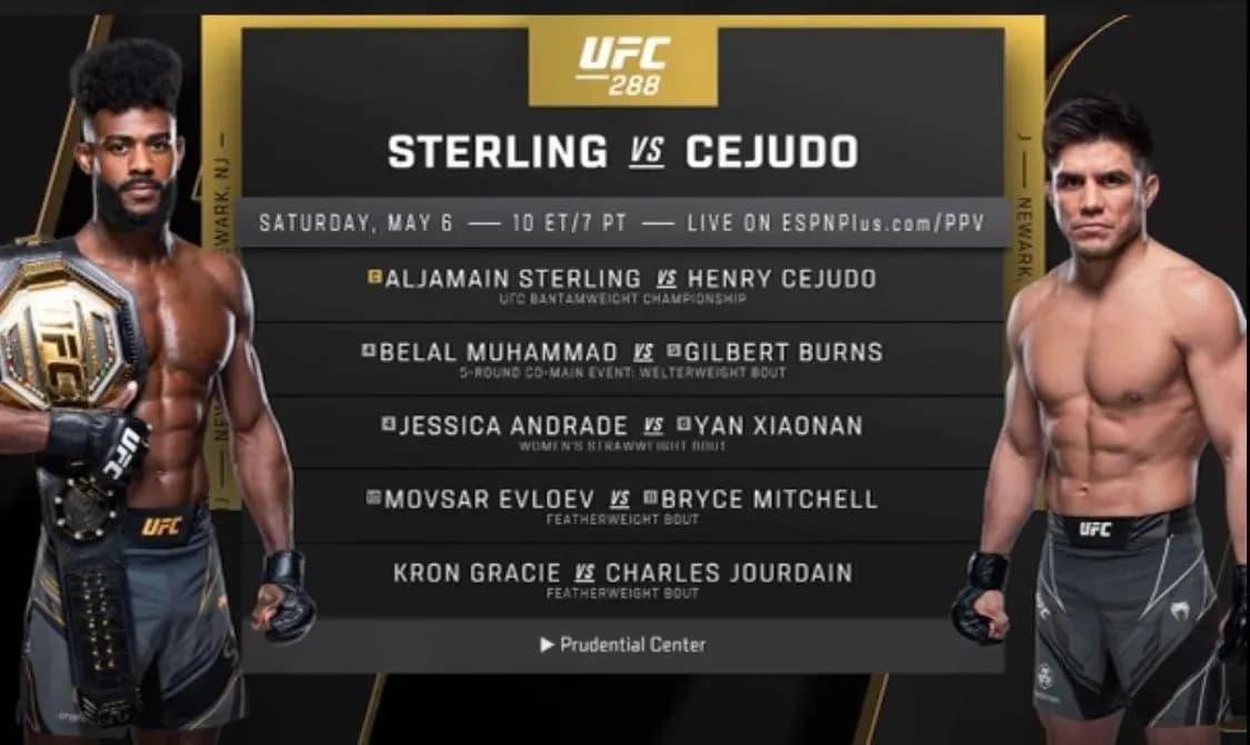 MMA article image