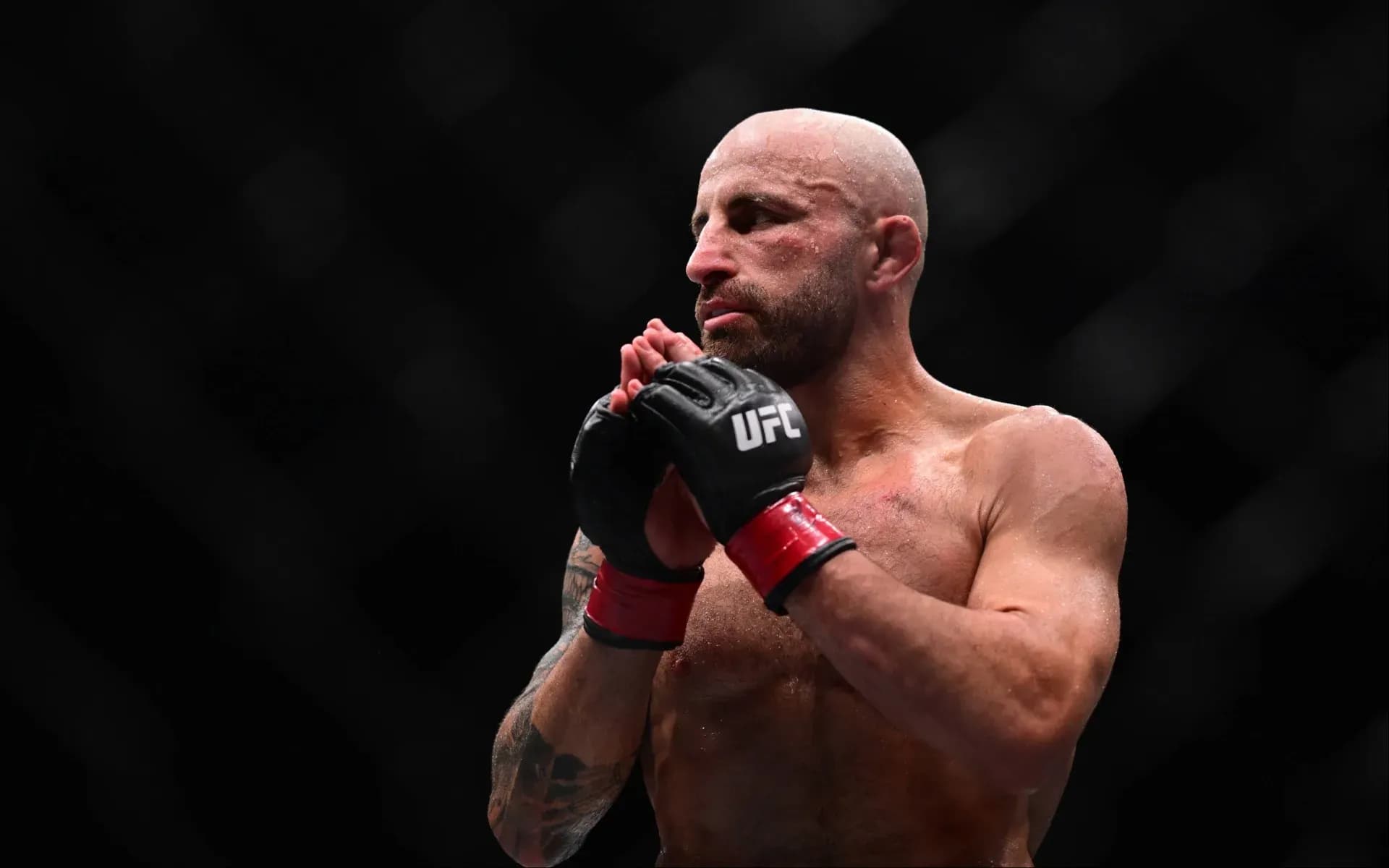 alexander-volkanovski