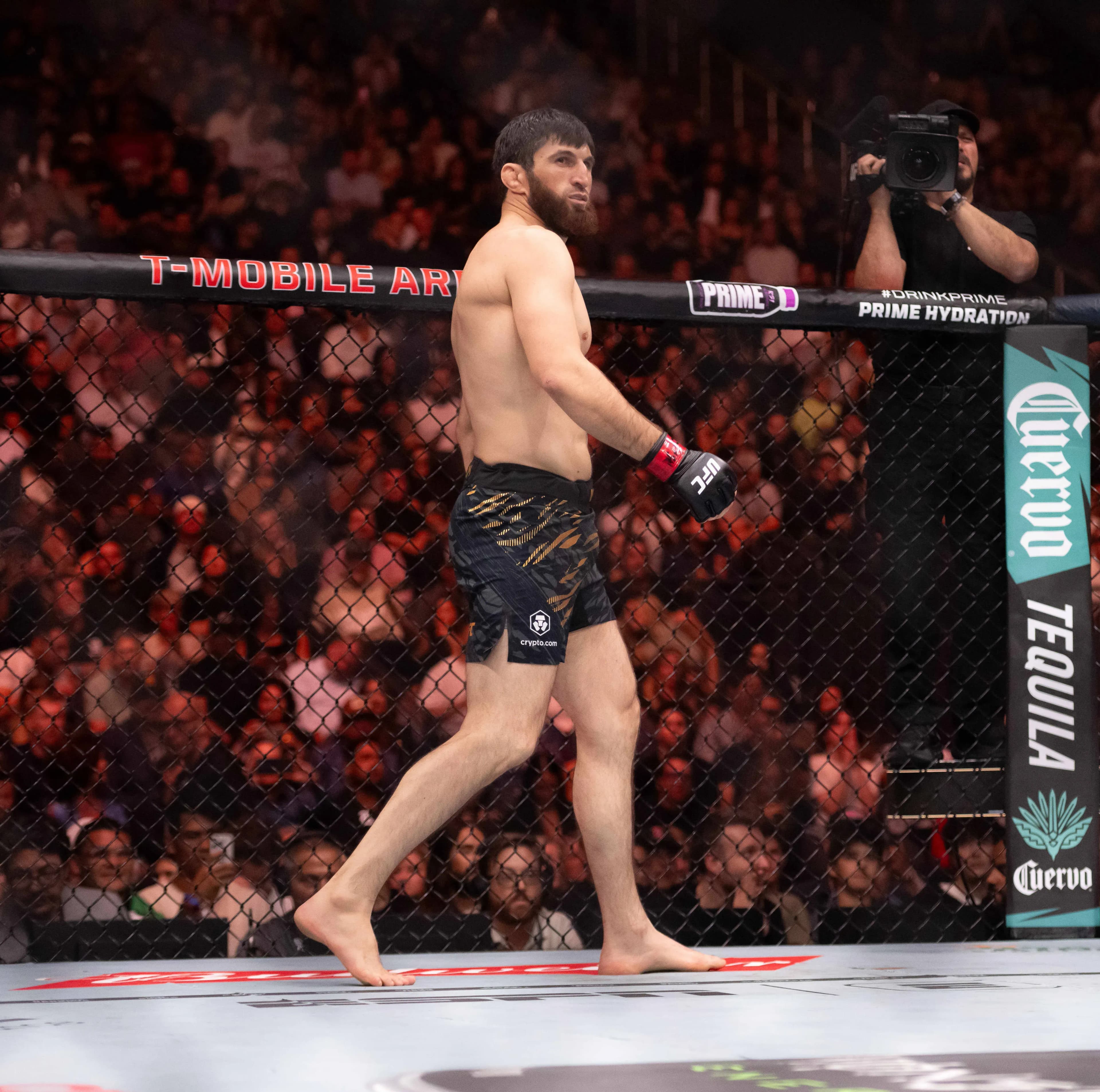 Magomed Ankalaev