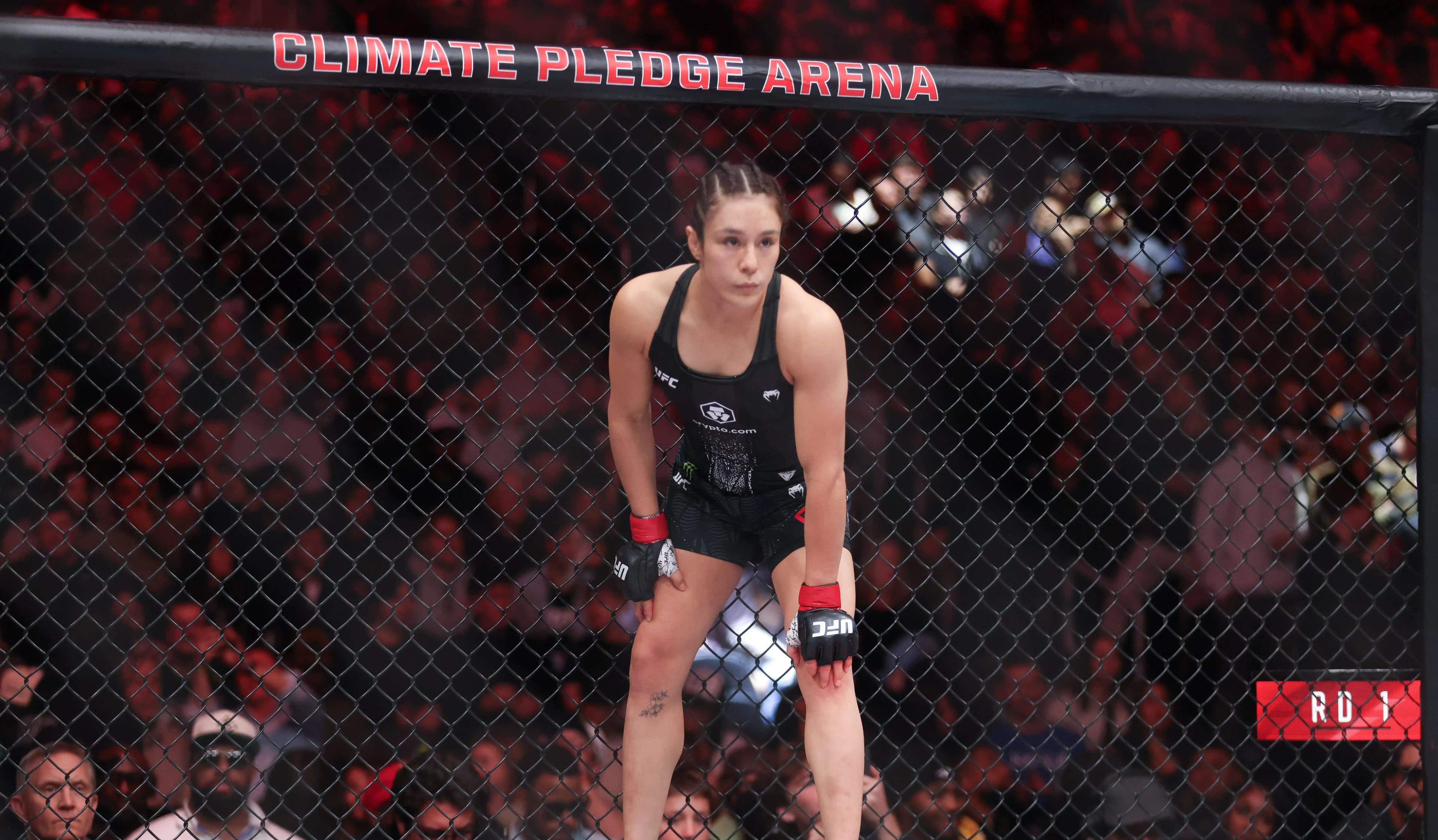 Alexa Grasso