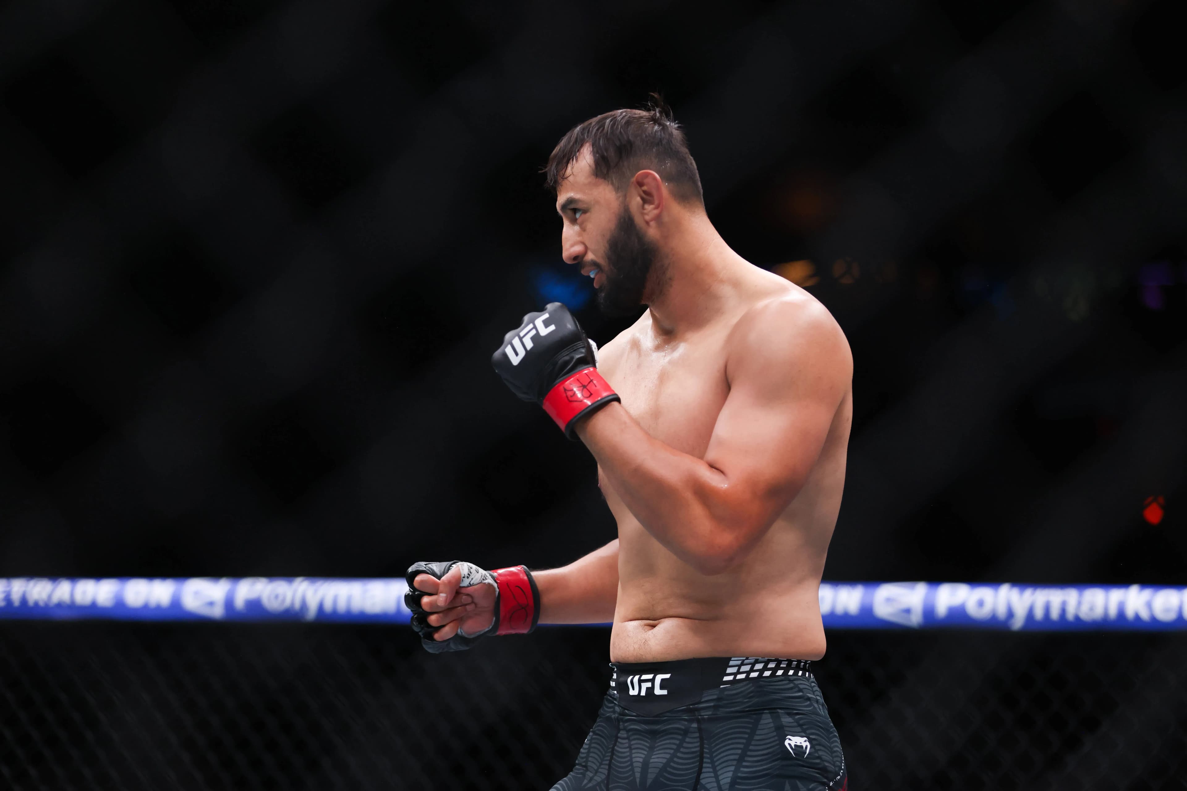 Dominick Reyes