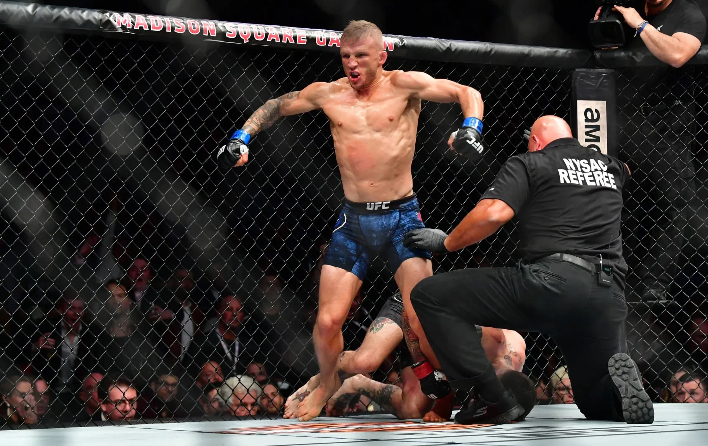 TJ Dillashaw