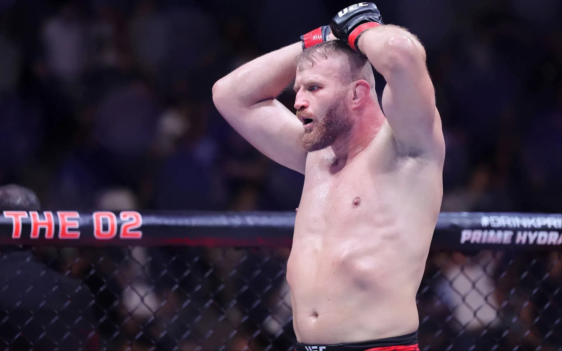 jan-blachowicz