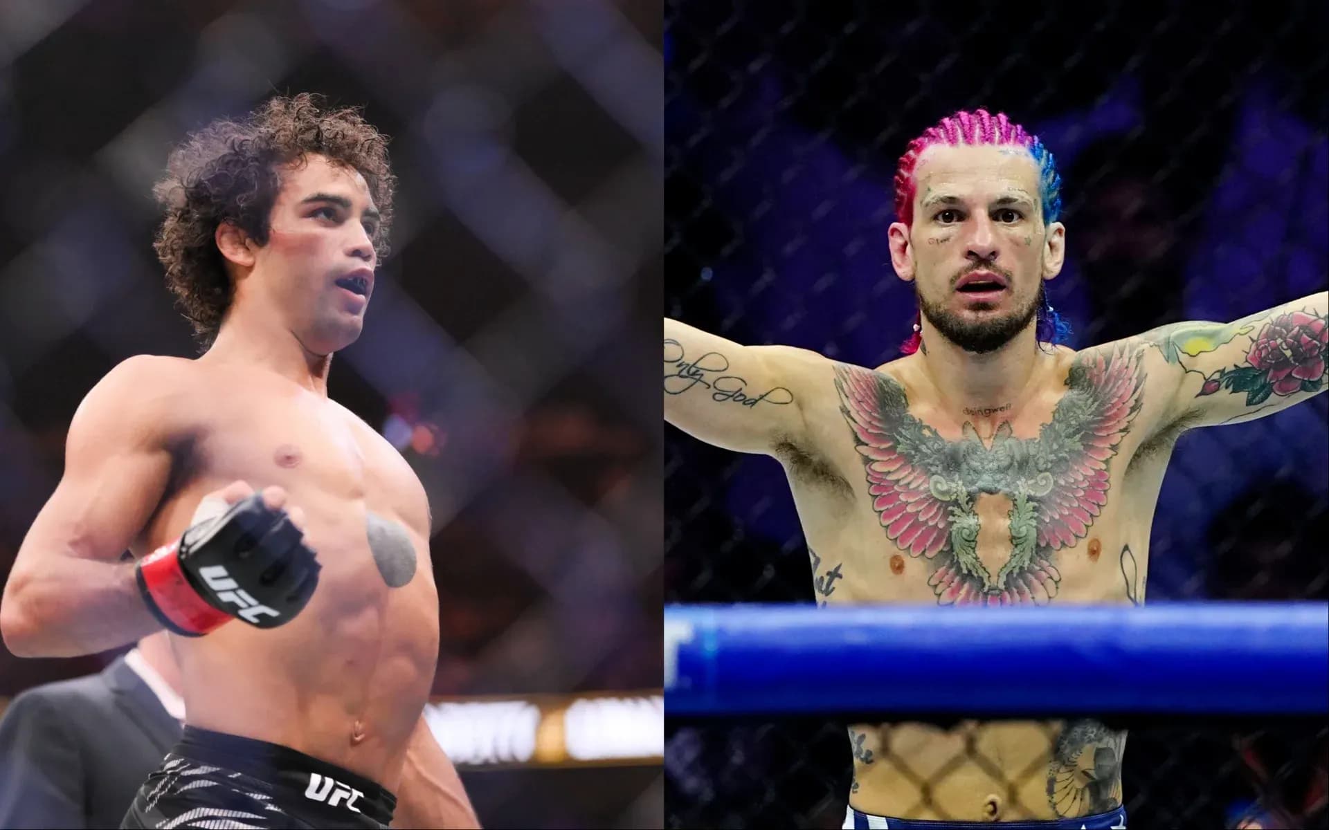 payton-talbott-vs-sean-o'malley