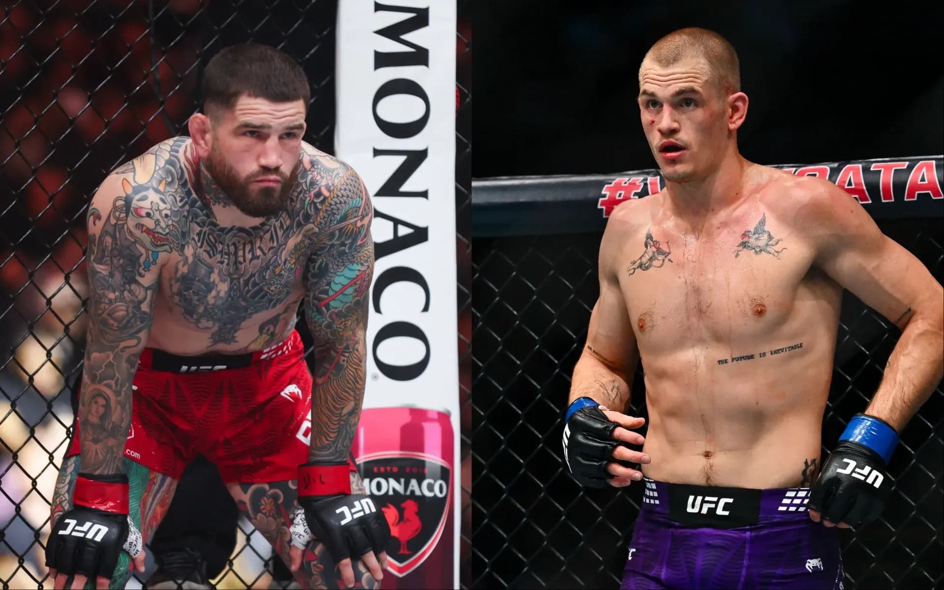 sean-brady-vs-ian-machado-garry