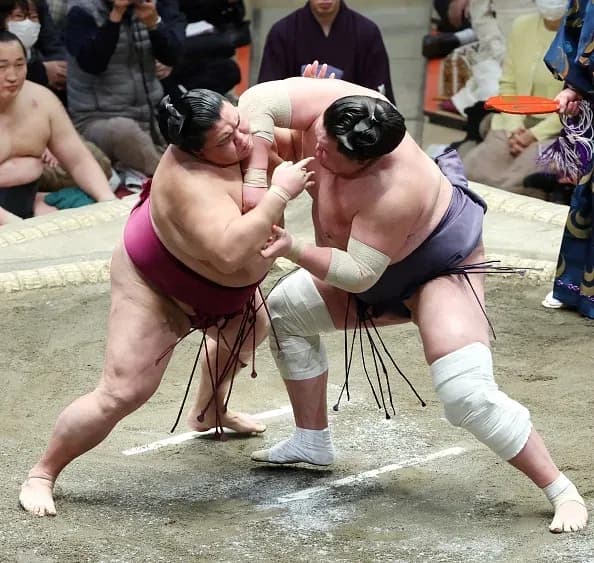 Yokozuna Terenofuji