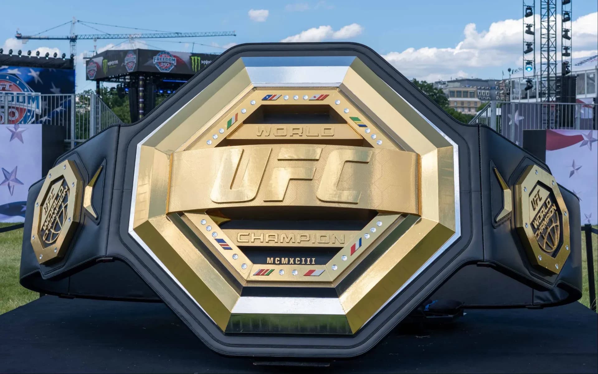 ufc-title