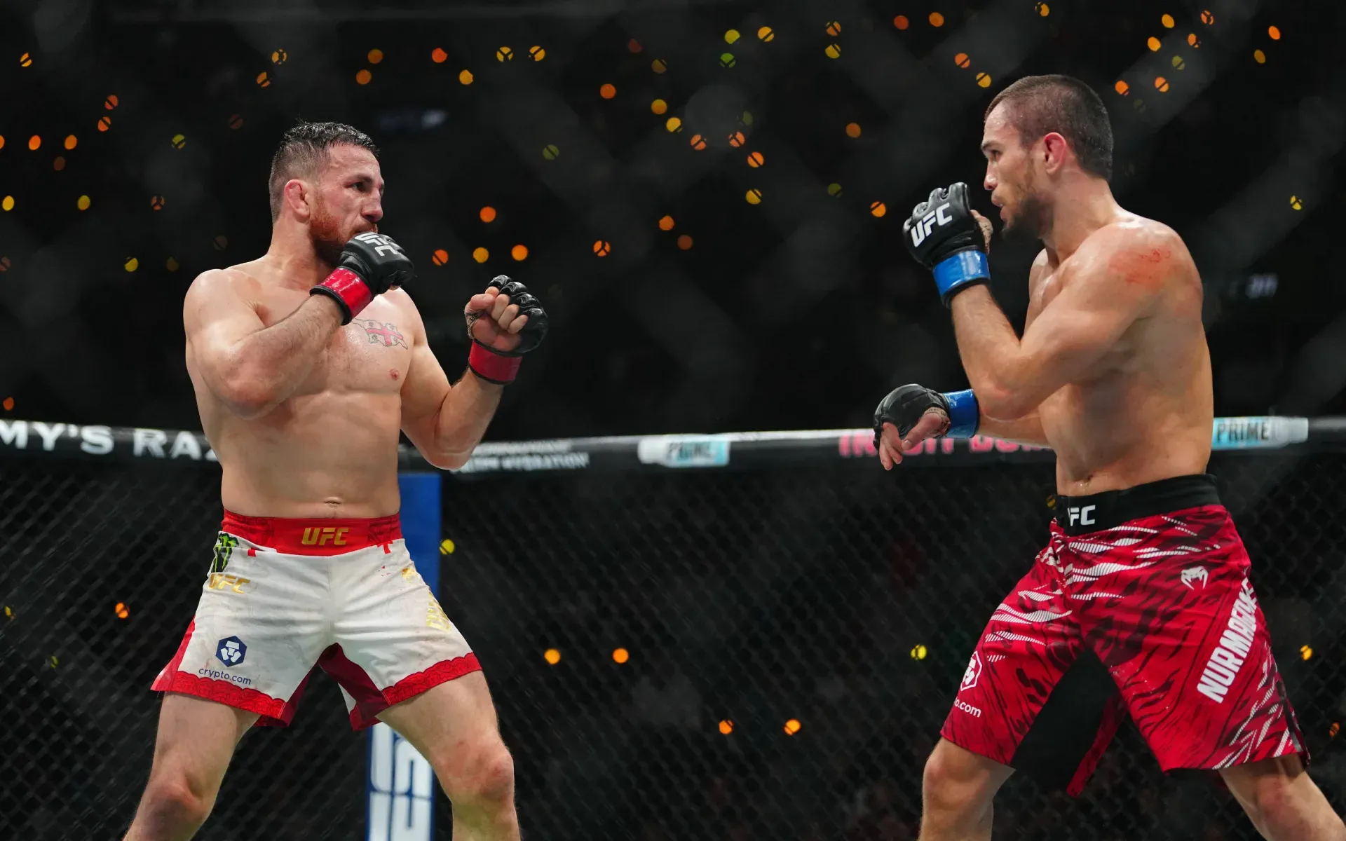 “I want my rematch”: Umar Nurmagomedov reveals plans to avenge Merab Dvalishvili loss