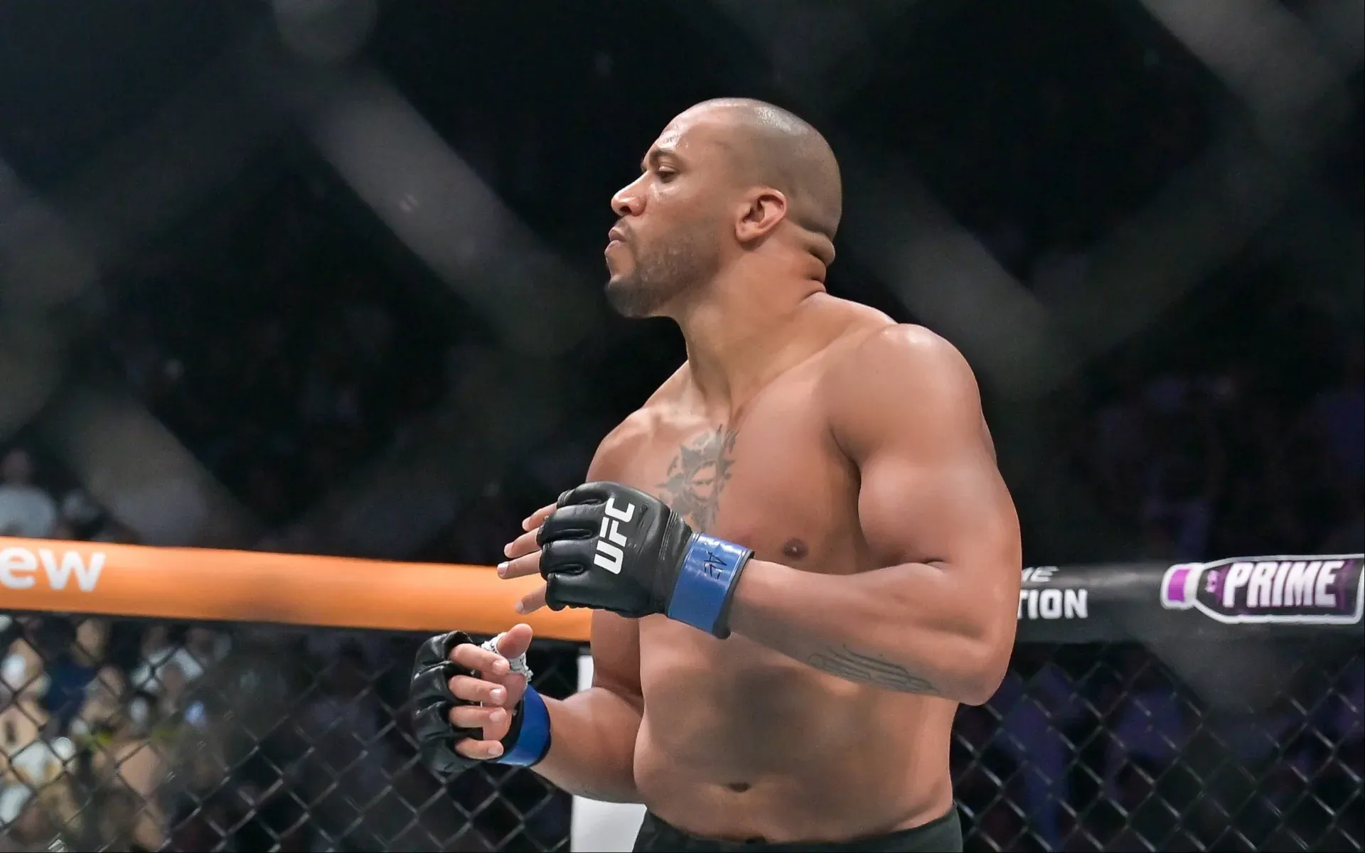 UFC Veterans Defend Ciryl Gane Amid Eye-Poke Controversy, Reject Claims of Deliberate Cheating