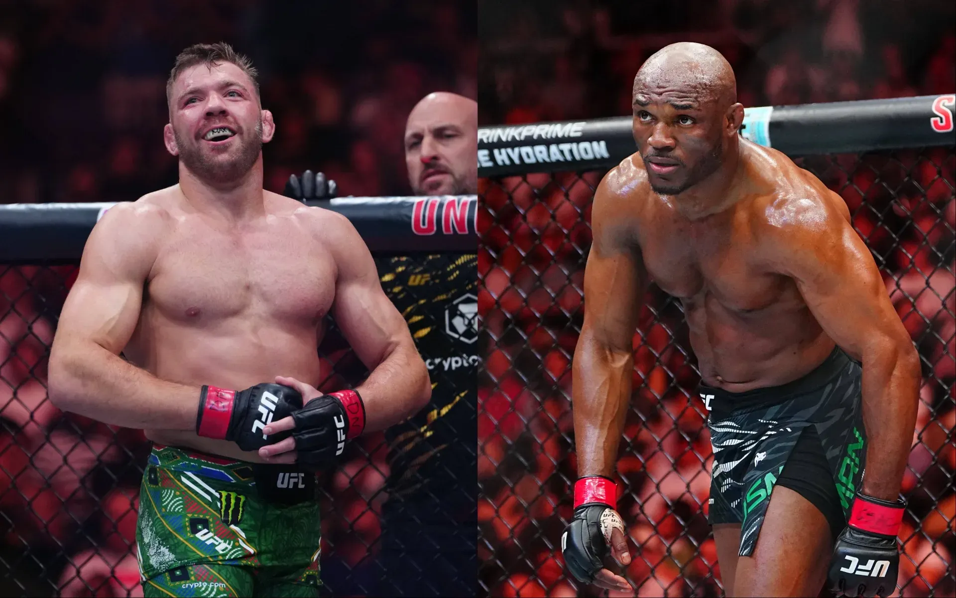 Dricus du Plessis vs. Kamaru Usman: A stylistic analysis