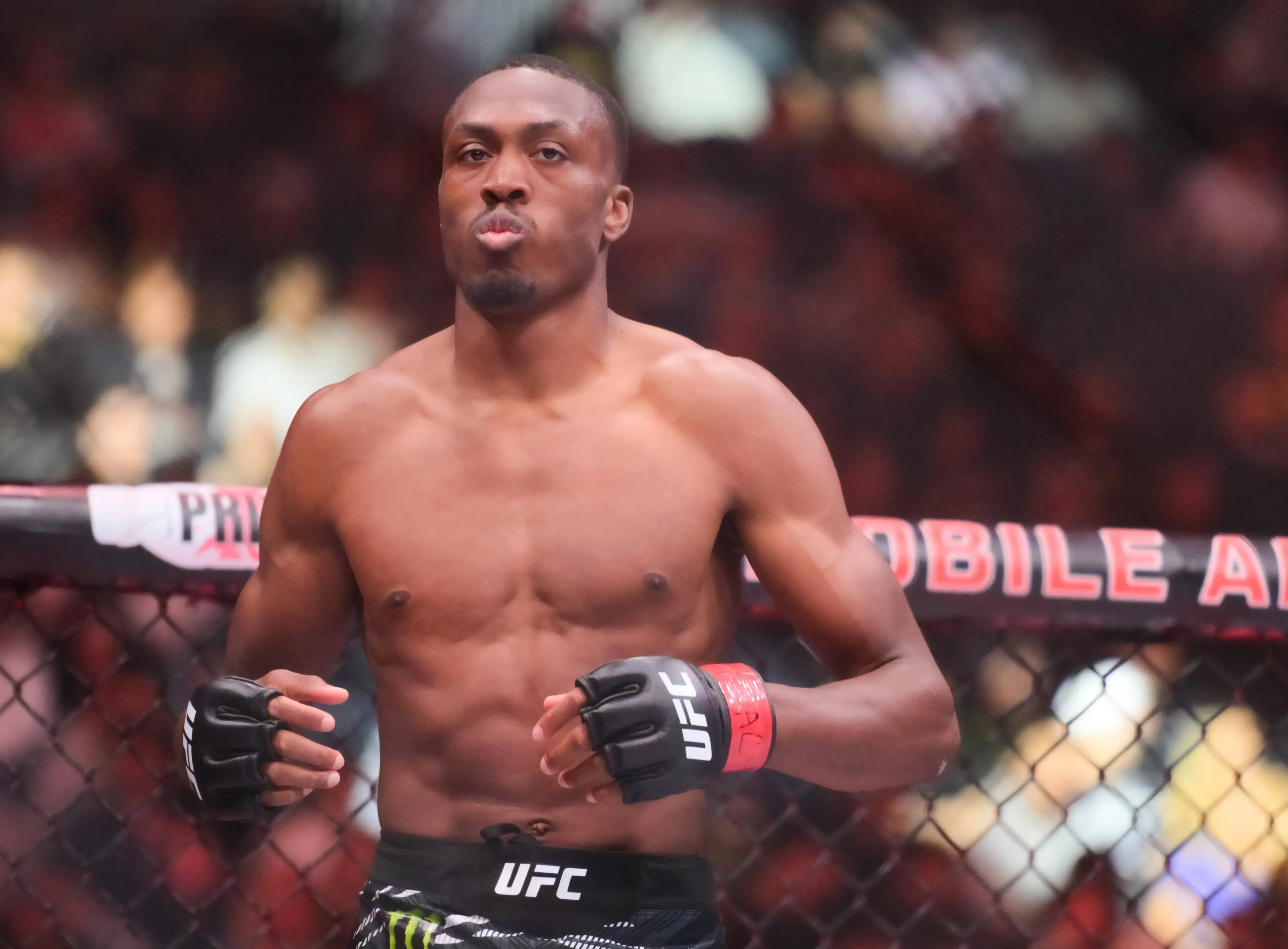 UFC 330 Staff Picks: Double Champ Makes His Return