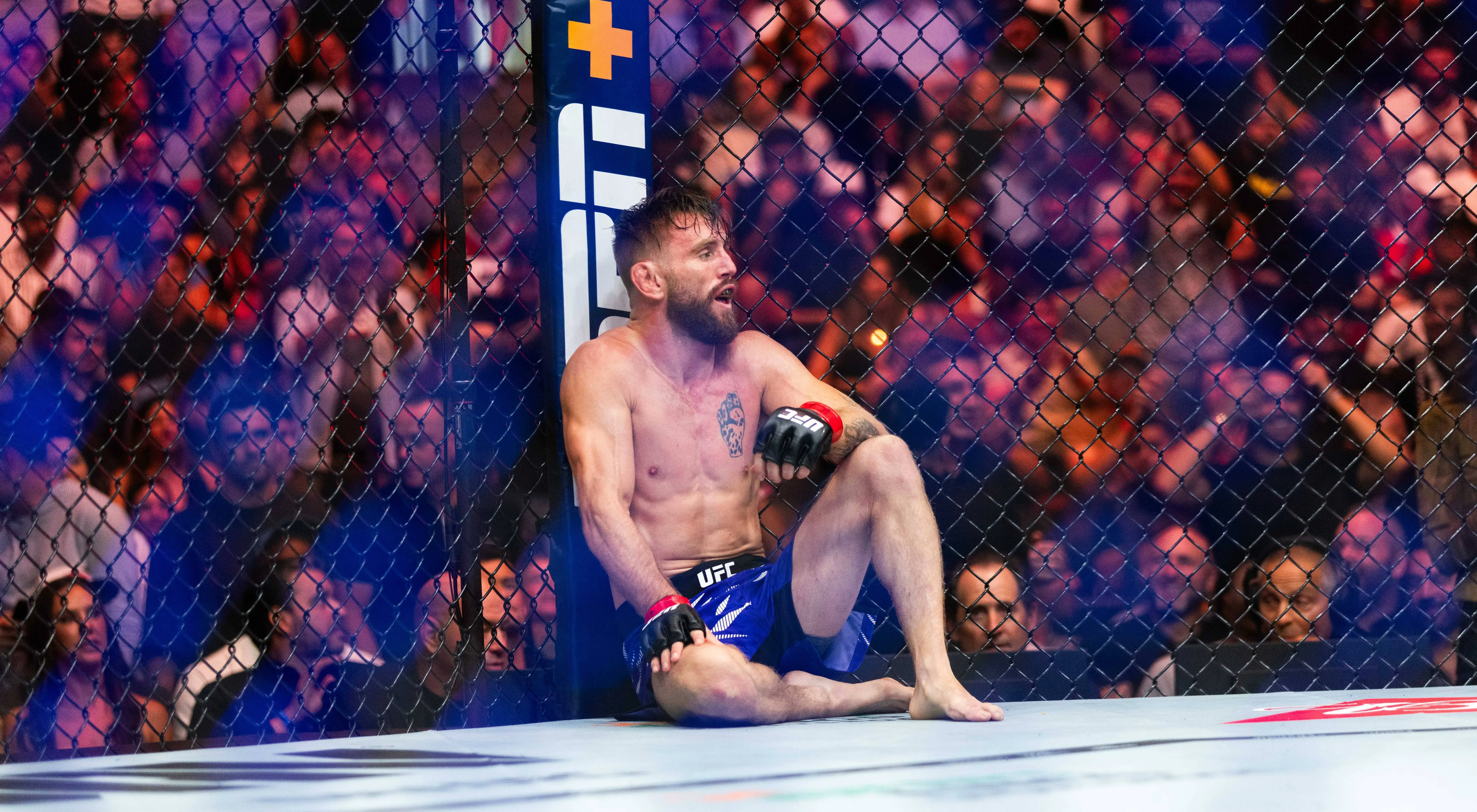 Noche UFC Delivers Amazing Undercard to Glendale Saturday Afternoon!