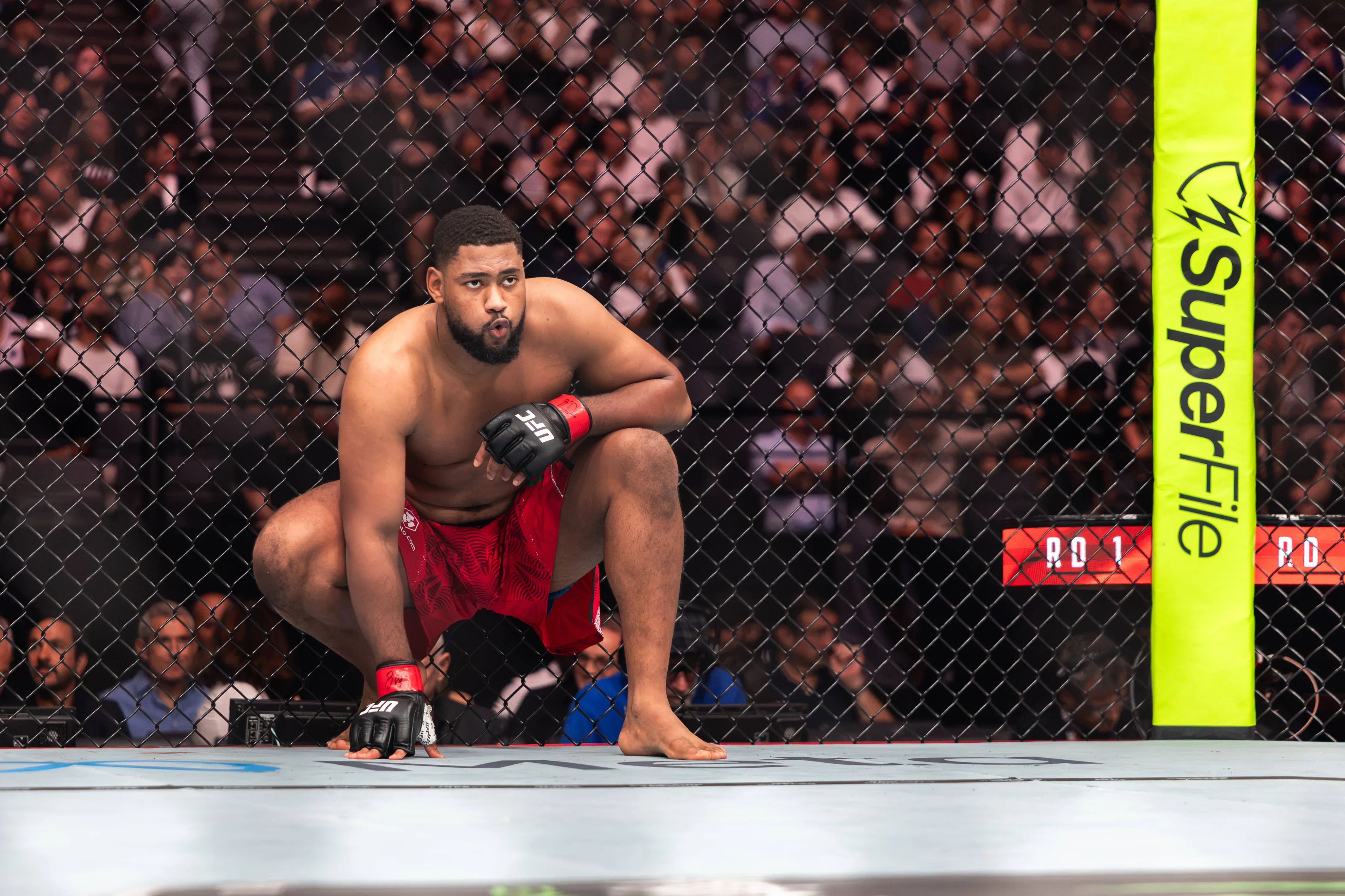 Mario Pinto demands respect for heavyweight division after UFC Paris win