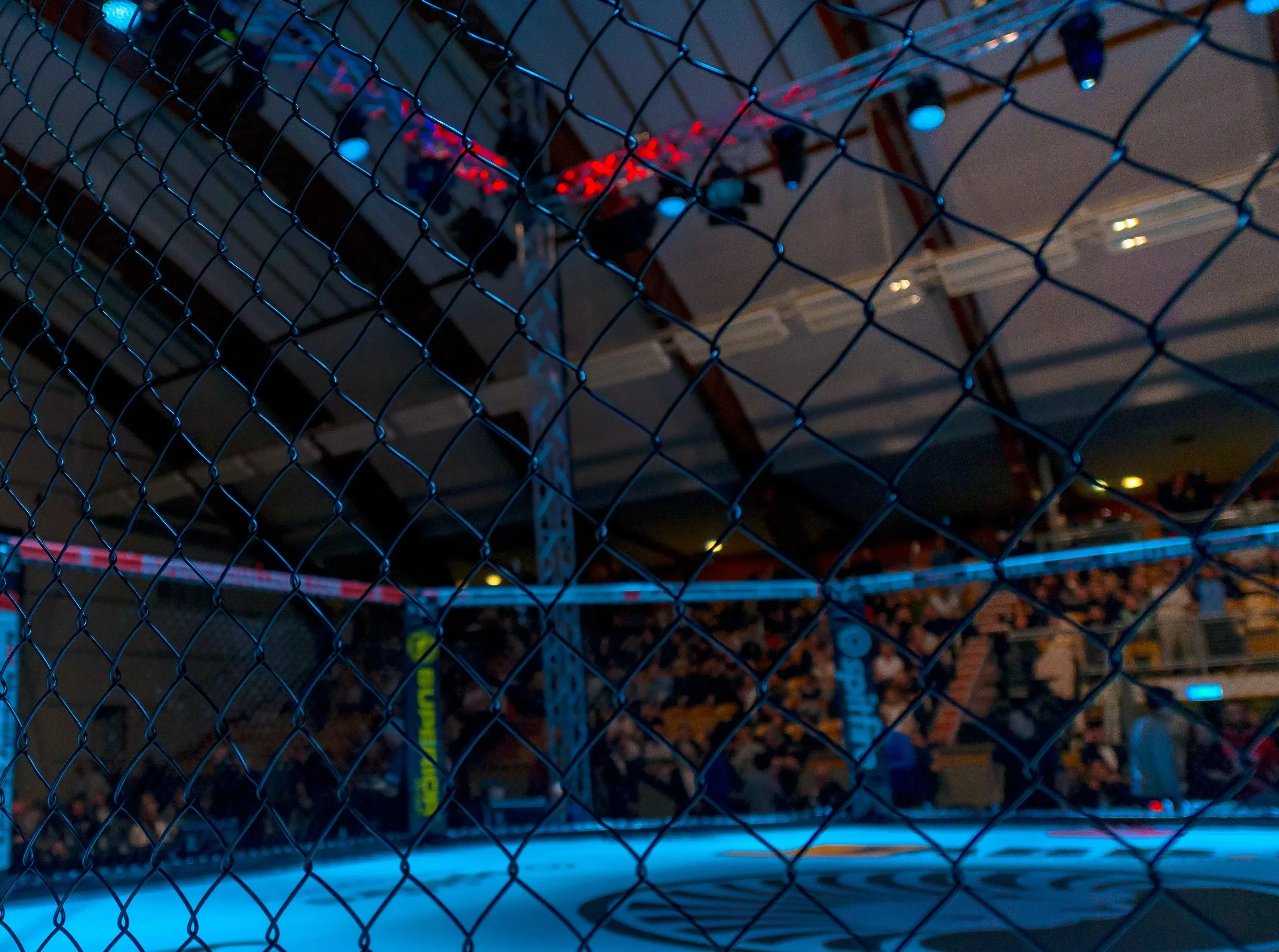 ‘Chanko Is Slick’: UFC Stars React to Magomed Zaykunov’s UFC Abu Dhabi Victory