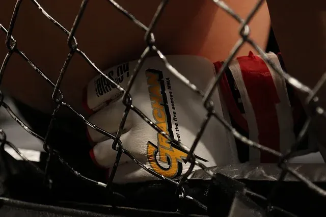 greatest Scandinavian UFC fighters