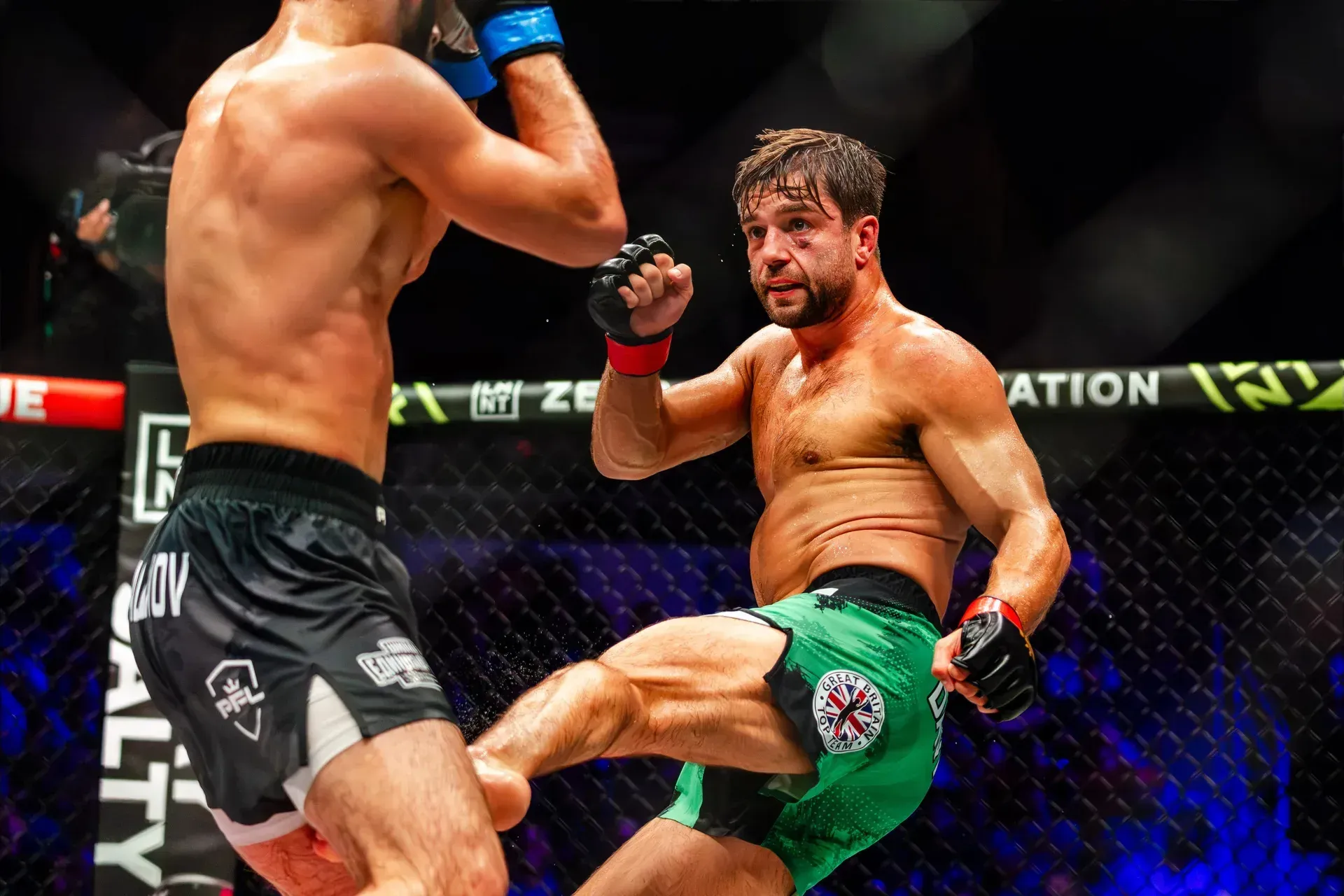 MMA article image