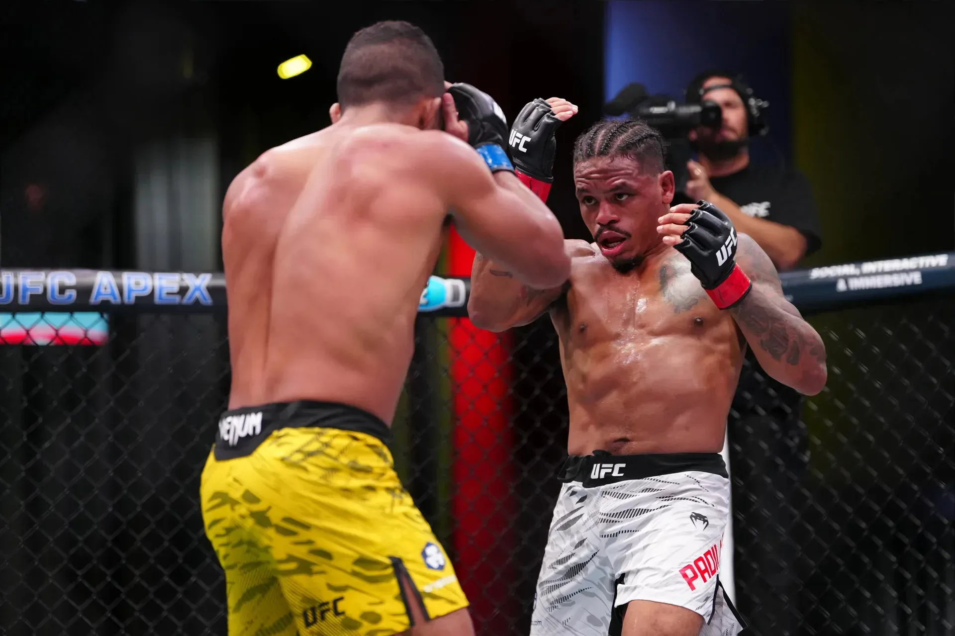 MMA article image