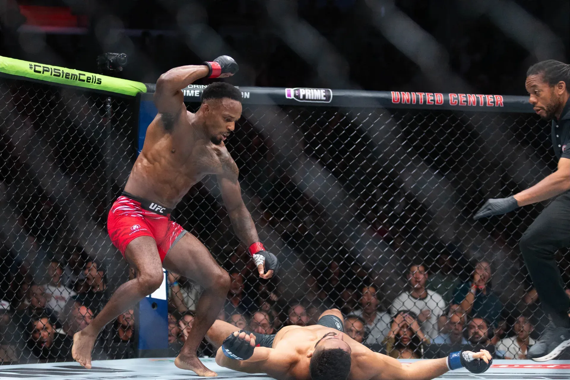 MMA article image
