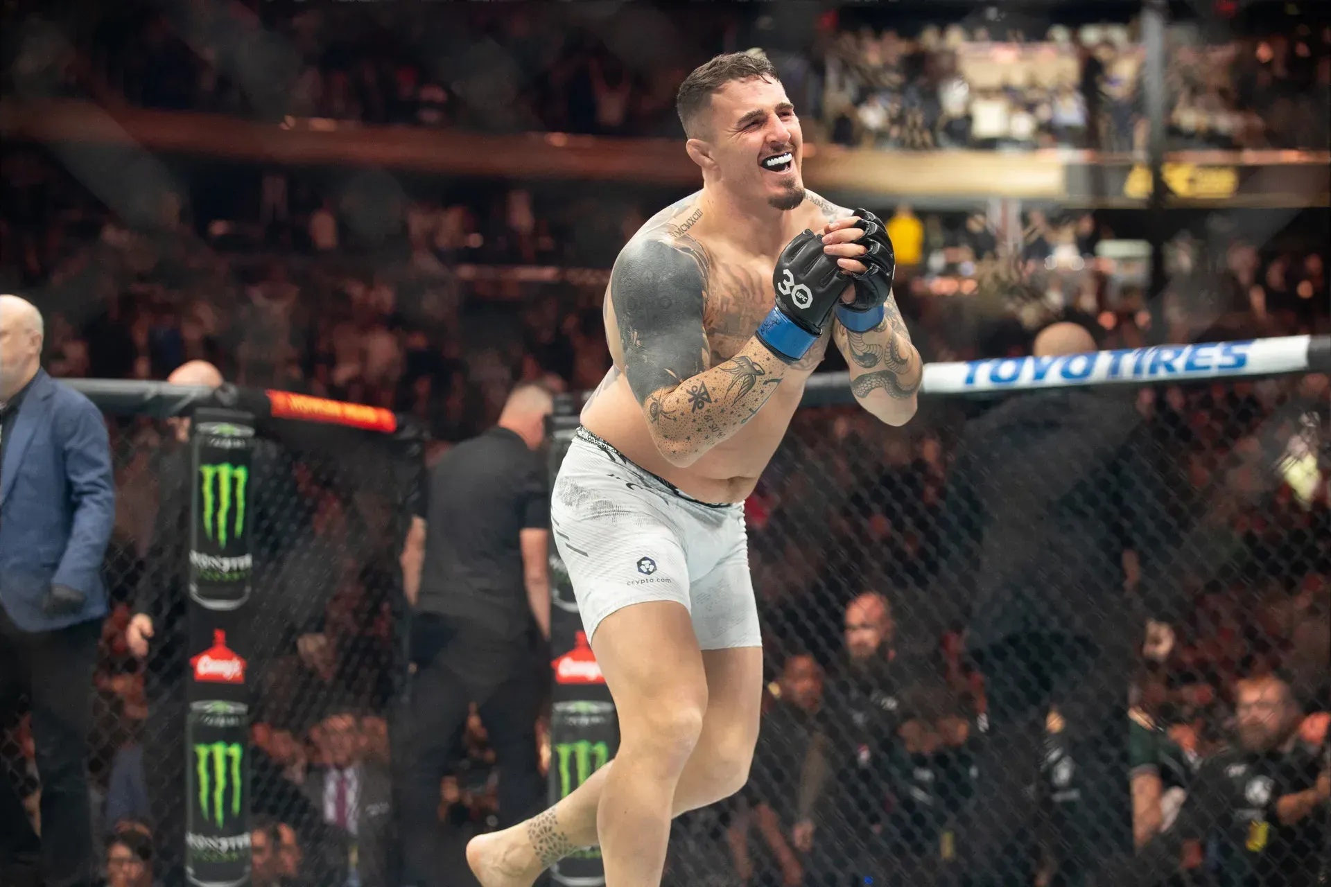MMA article image