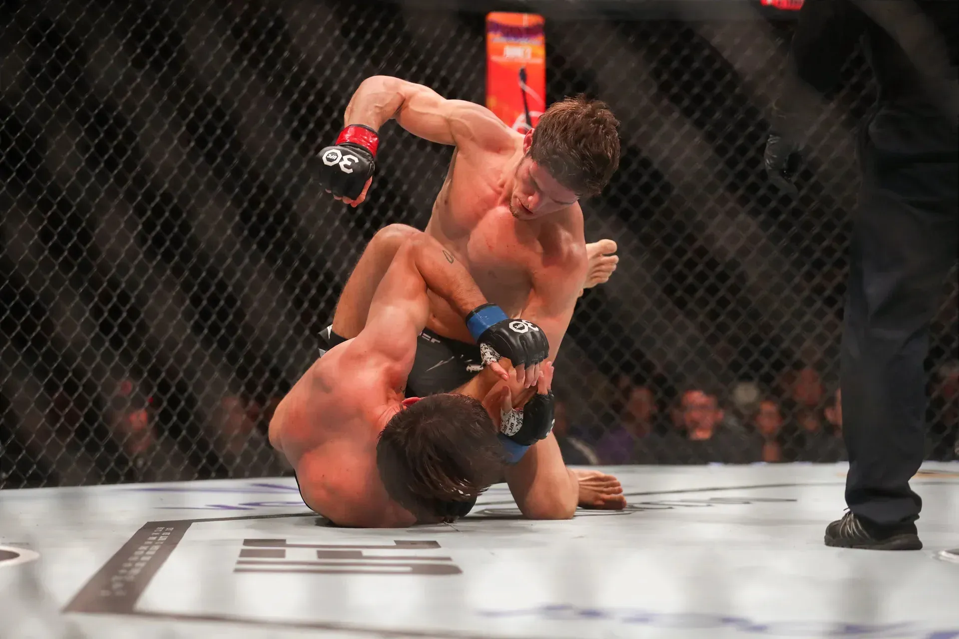 MMA article image