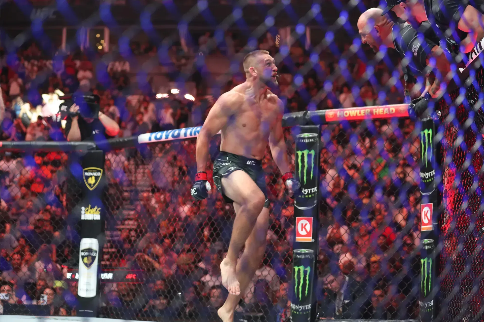 MMA article image