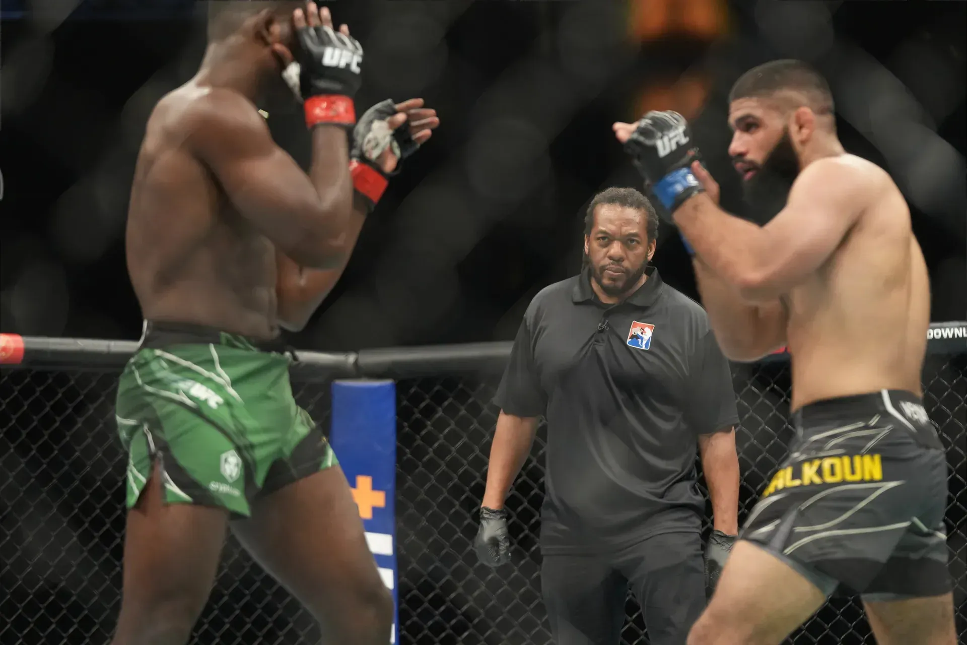 MMA article image