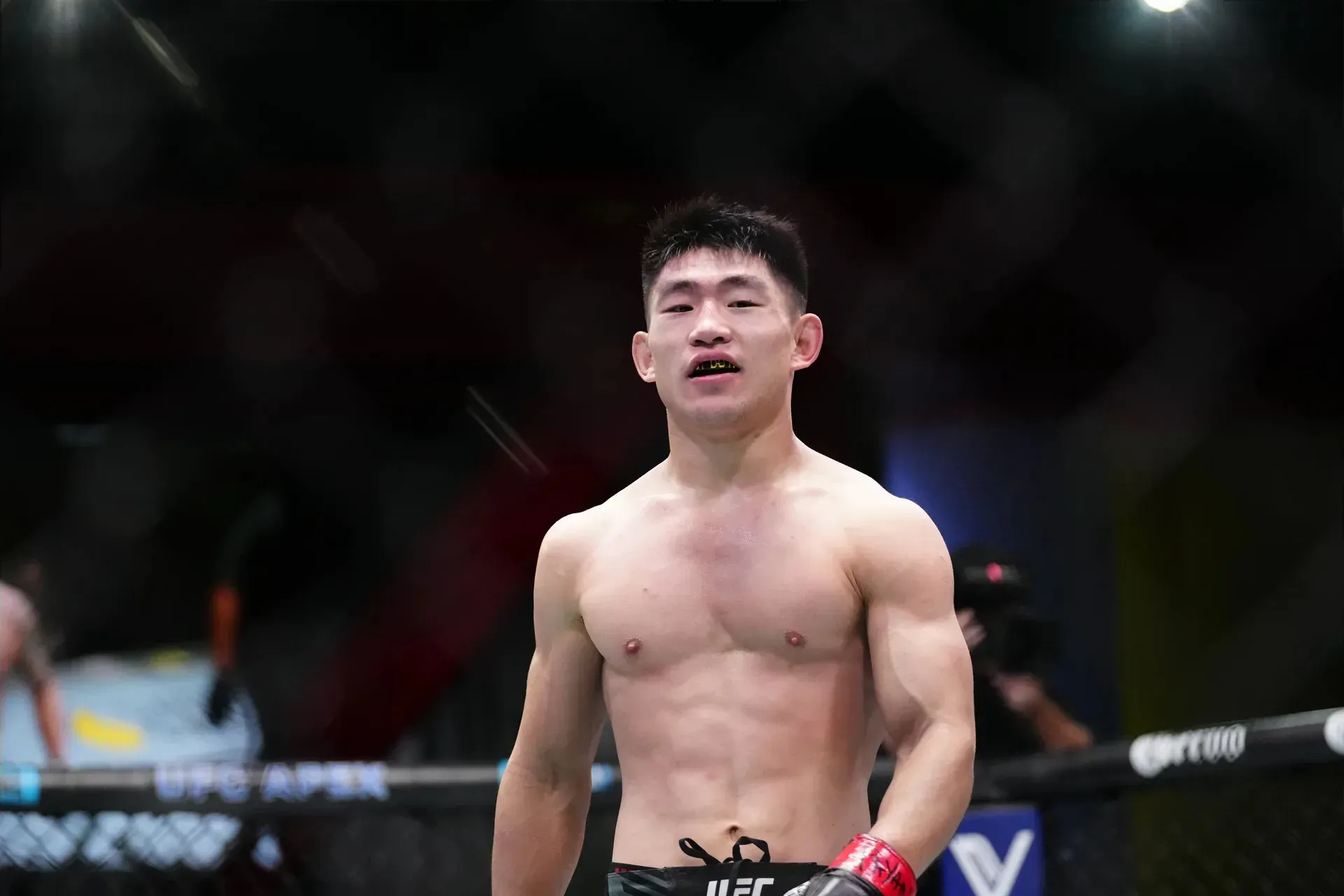 MMA article image