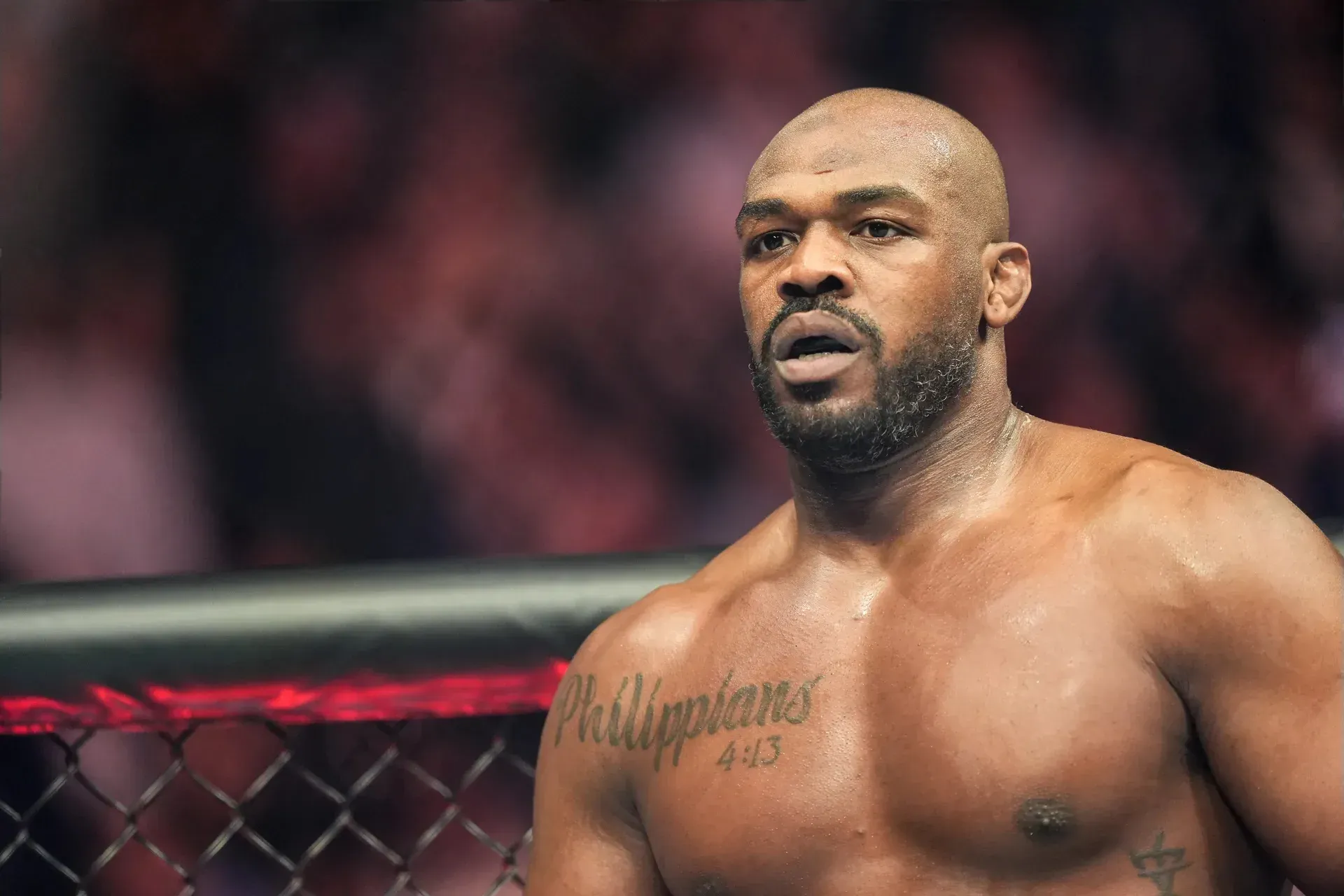 MMA article image
