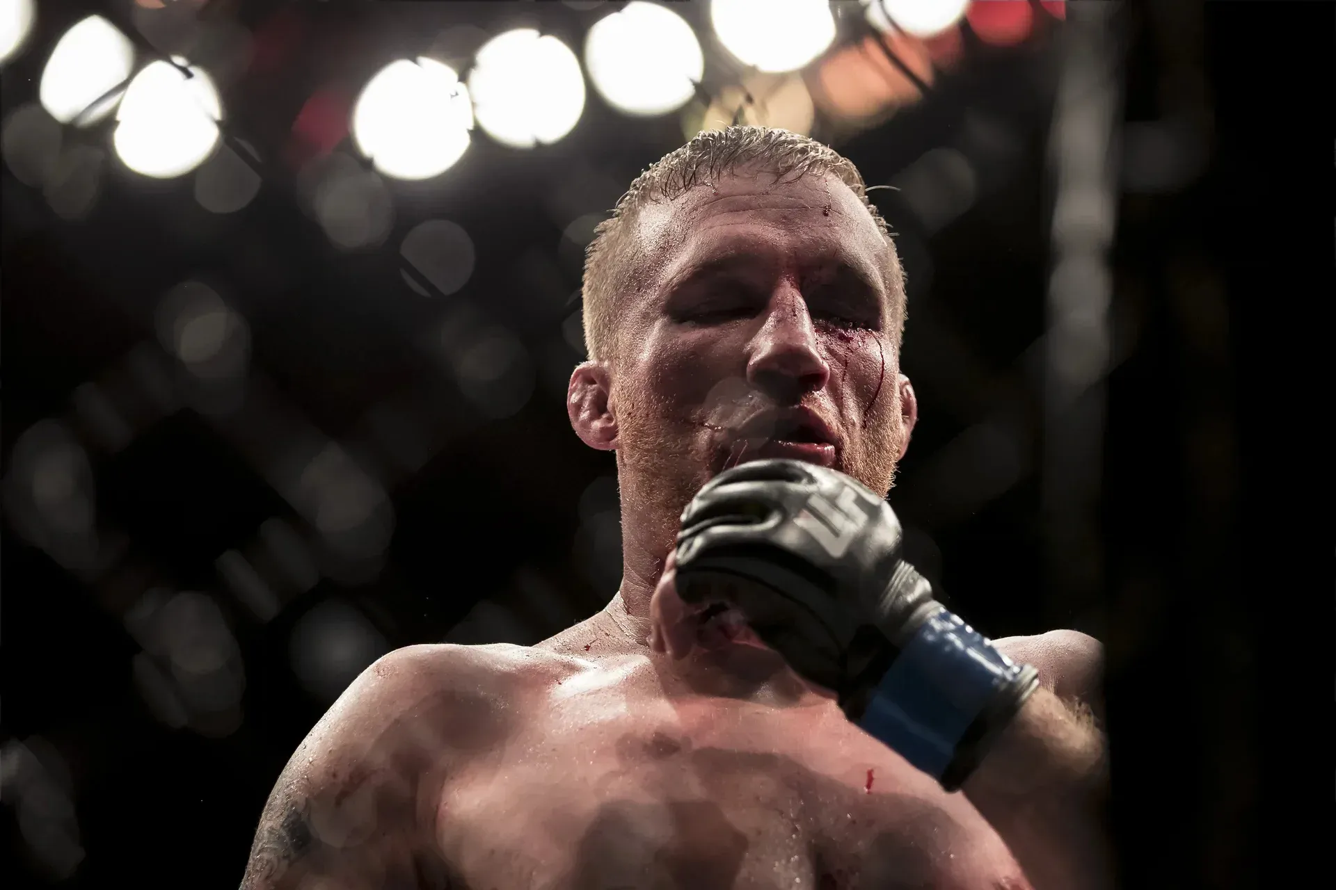 MMA article image