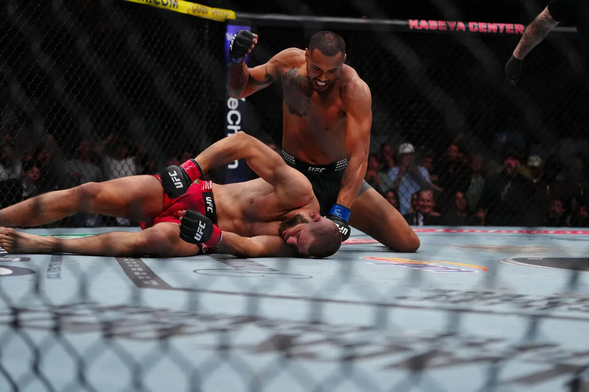 MMA article image